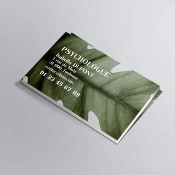Cartes de visite